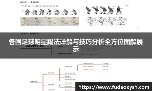 各国足球明星踢法详解与技巧分析全方位图解展示
